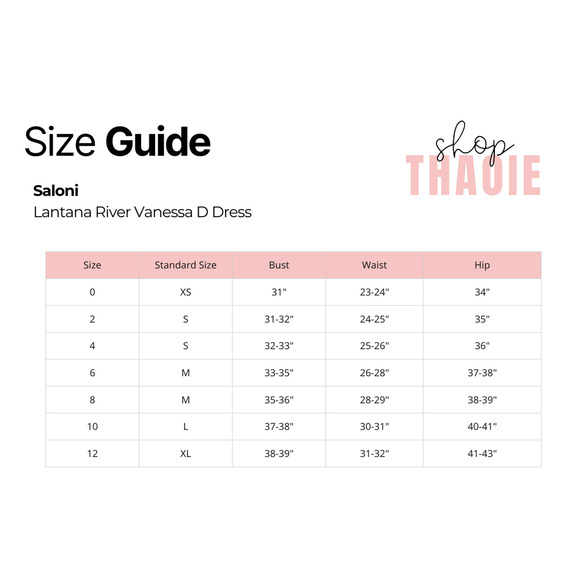 SALONI Lantana River Vanessa D Dress Size 8 NWT Retail $750 Tuckernuck - Picture 3 of 8